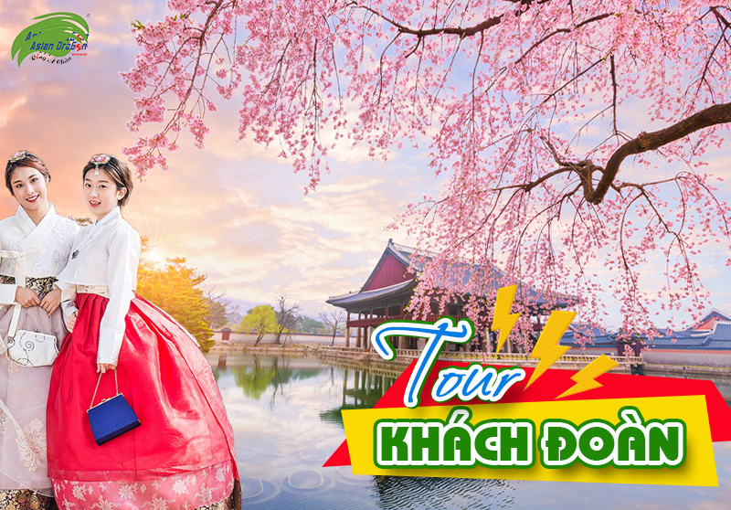 Tour du lịch Hàn Quốc ngắm hoa anh đào dành cho khách đoàn